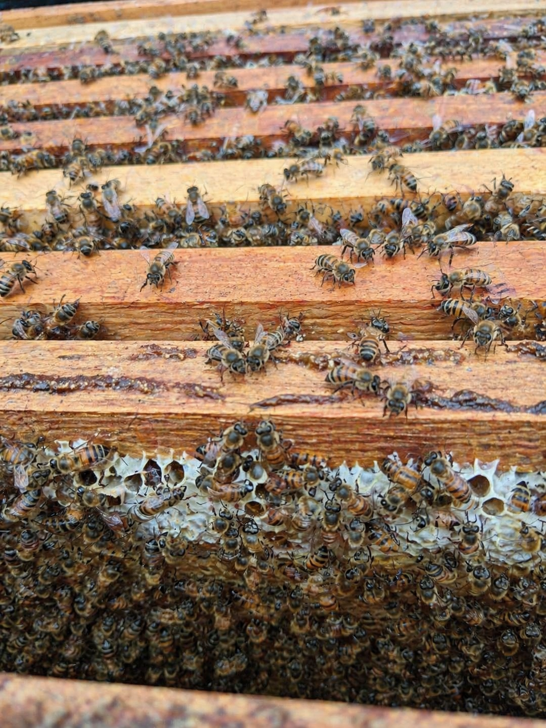 Hive work